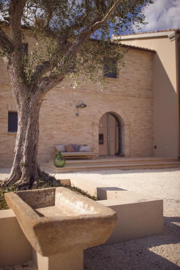 Casale Tre Gelsi Bed & Breakfast Cingoli Eksteriør bilde