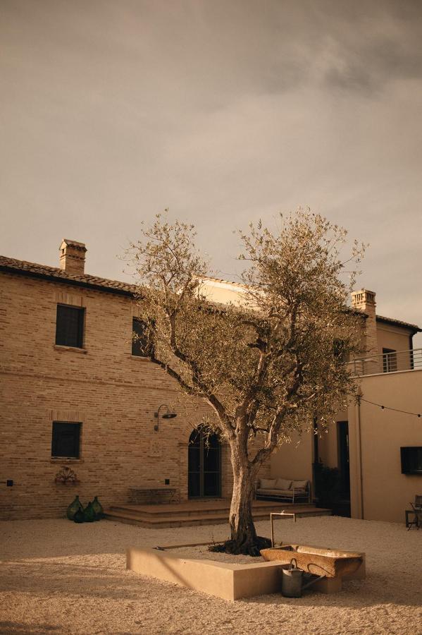 Casale Tre Gelsi Bed & Breakfast Cingoli Eksteriør bilde